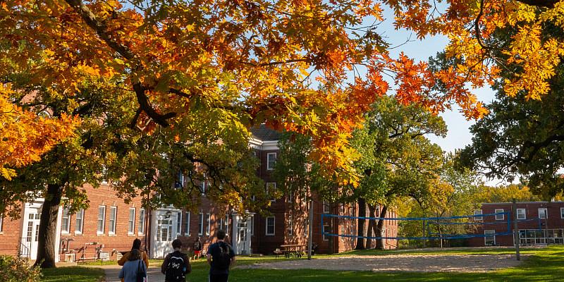秋天，学生们一起走在贝洛伊特校园五彩缤纷的树叶下上课.